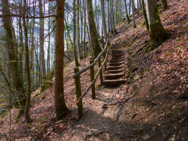 Pension de réversion et droits de succession