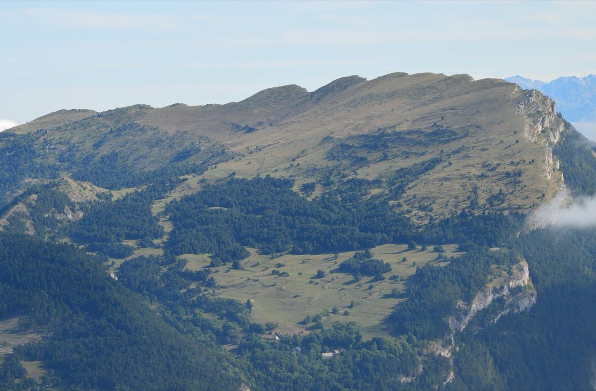 Stratégies d&rsquo;investissement : approches et choix