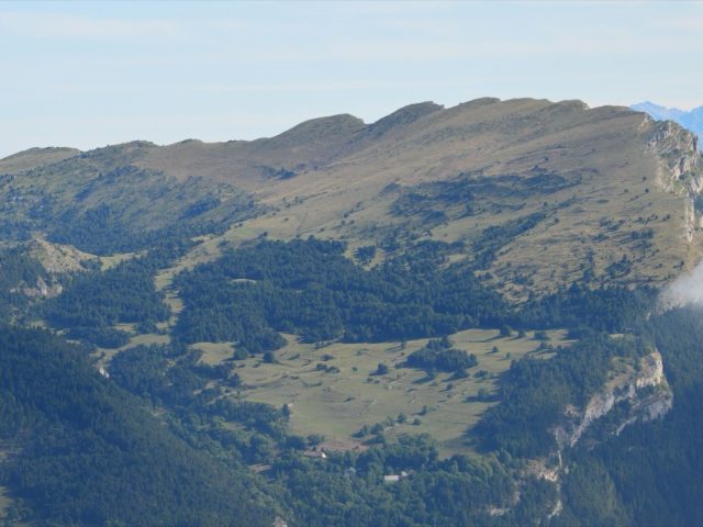 Stratégies d&rsquo;investissement : approches et choix